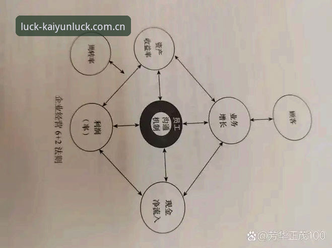 5个关键维度教你识别开运体育正版平台推荐的核心价值